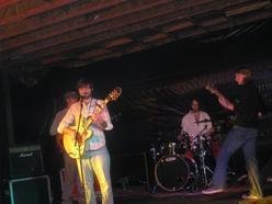 Image for Borderline Cuckoo