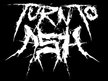 Turn to Ash