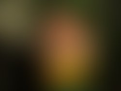 821def85 8ba5 4211 86fb 693b5398b8bc 5550 000004ed7ab6735d