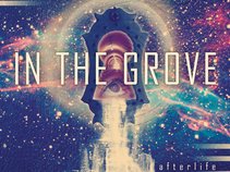 In The Grove