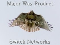 mastaswitch