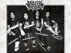 Image for Skeletal Remains