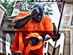 SHAUN JOHNSON/THE BIG MAN OF URBAN GOSPEL