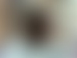 1309099087 n11201779 32645179 5971