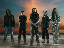 KORN OFFICIAL FAN CLUB