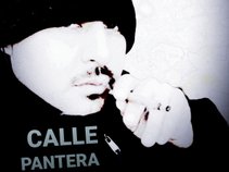 Calle Pantera