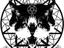 ANIMALITY