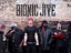Bionic Jive
