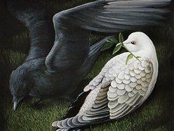 Image for A Raven Among Doves