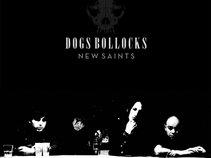 DOGS BOLLOCKS