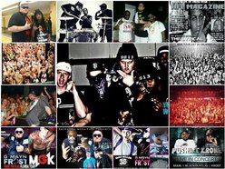 Image for G-MAYN-FROST (G.M.F)