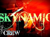 skynamic