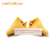 I Can't Tell You