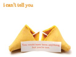 Image for I Can't Tell You