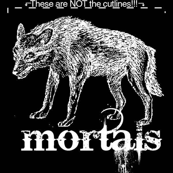ReverbNation profile picture for @mortals