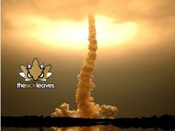 Image for The Sick-Leaves