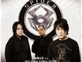 Spider