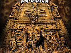 Image for Goregast