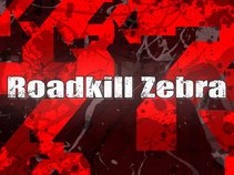 Roadkill Zebra