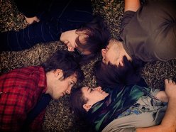 Image for Bear Attack
