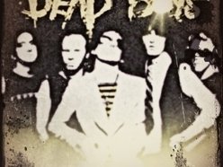 Image for Dead Boys