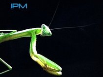 IPM Music