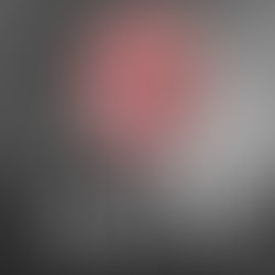 1355114938 3875263199654 1678212656 n