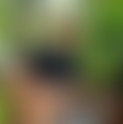 Artist 1717748 1731988476