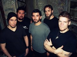 Image for DECIMATION THEORY