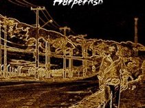 Harper Ash