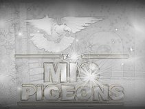 MIC PIGEONS FAM