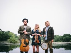 Image for The Ramblin' Fevers