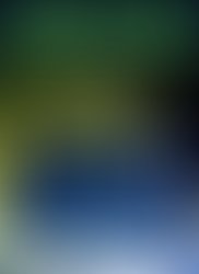 Img 20191211 125449 050 2