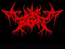 Casket Born