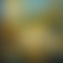 1f789c75 f166 420a b5af 9acc9dfca42a