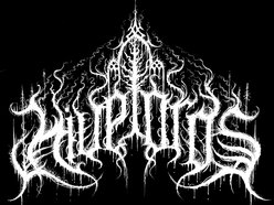 Image for HIVELORDS