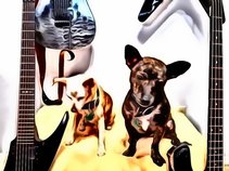 Little Doggie Death Metal