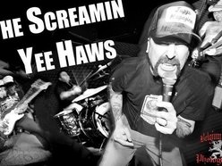 Image for The Screamin Yeehaws