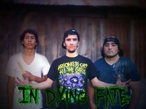 In Dying Fate