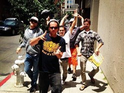 Image for Counter Culture