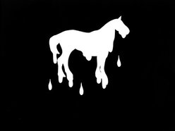 Image for Melted Horses