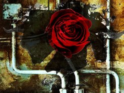 Image for SEPAL