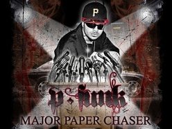 Image for P-SLAP