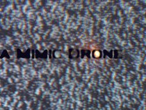 a Mimic Drone