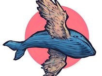 WhaleHawk
