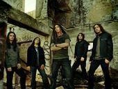 Shadows Fall