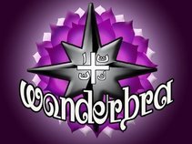 Wonderbra