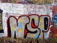 N.S.P crew