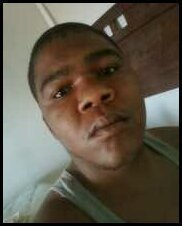 ReverbNation profile picture for @pedigree
