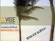 Vibe Boutique Records / Monodeluxe